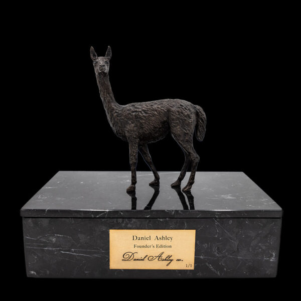 Series I - Image 12